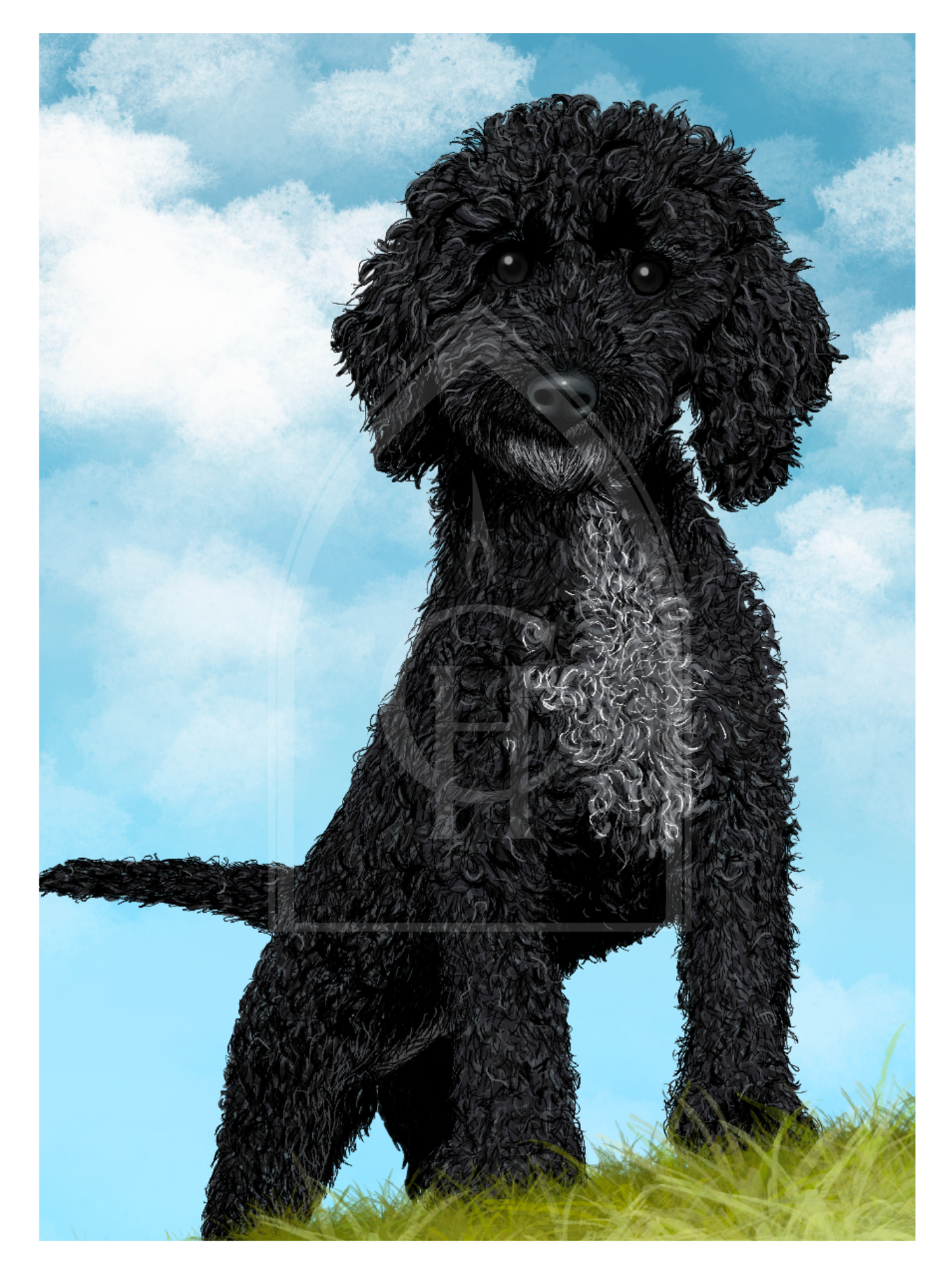Pet Portrait