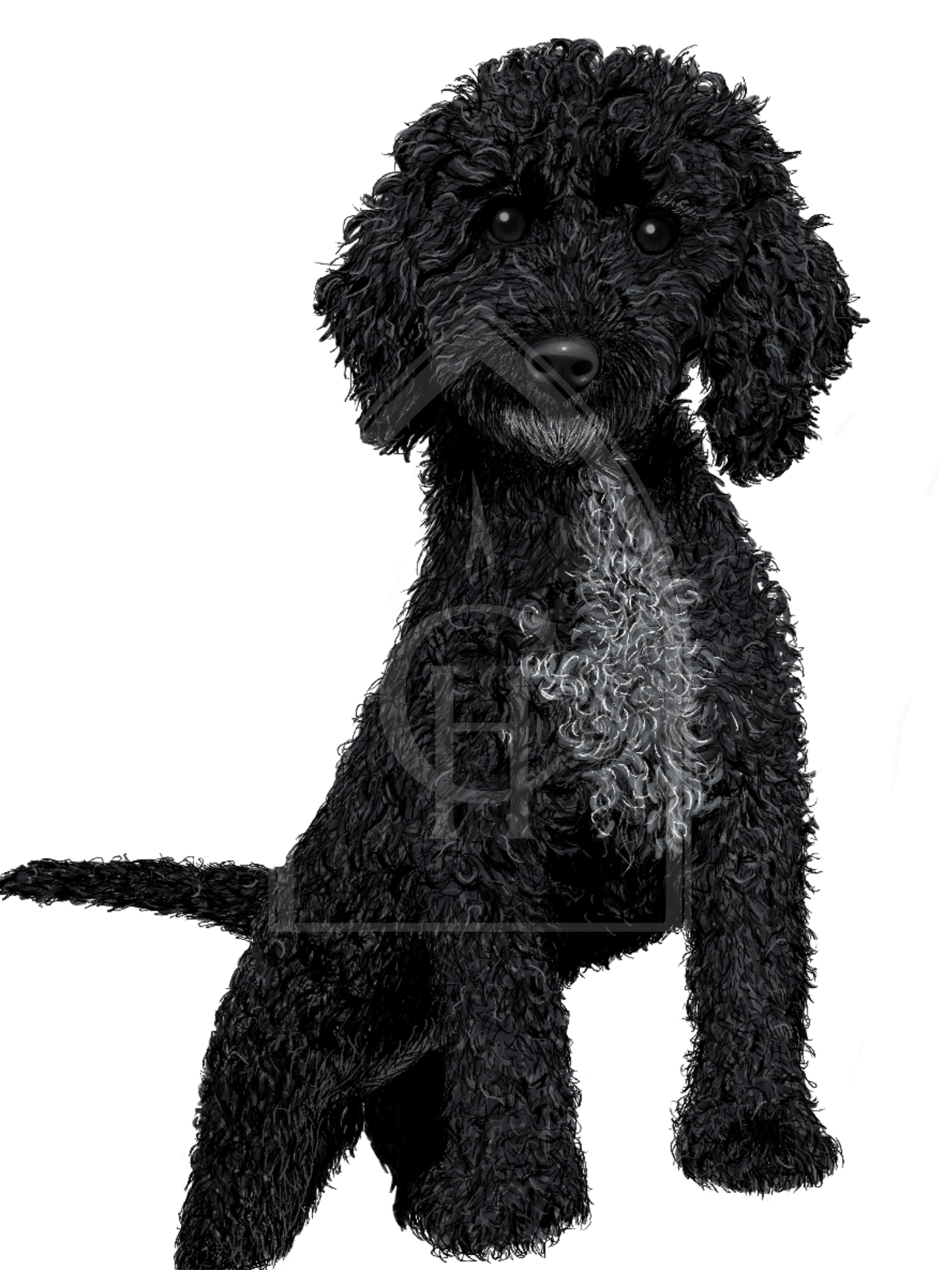 Pet Portrait