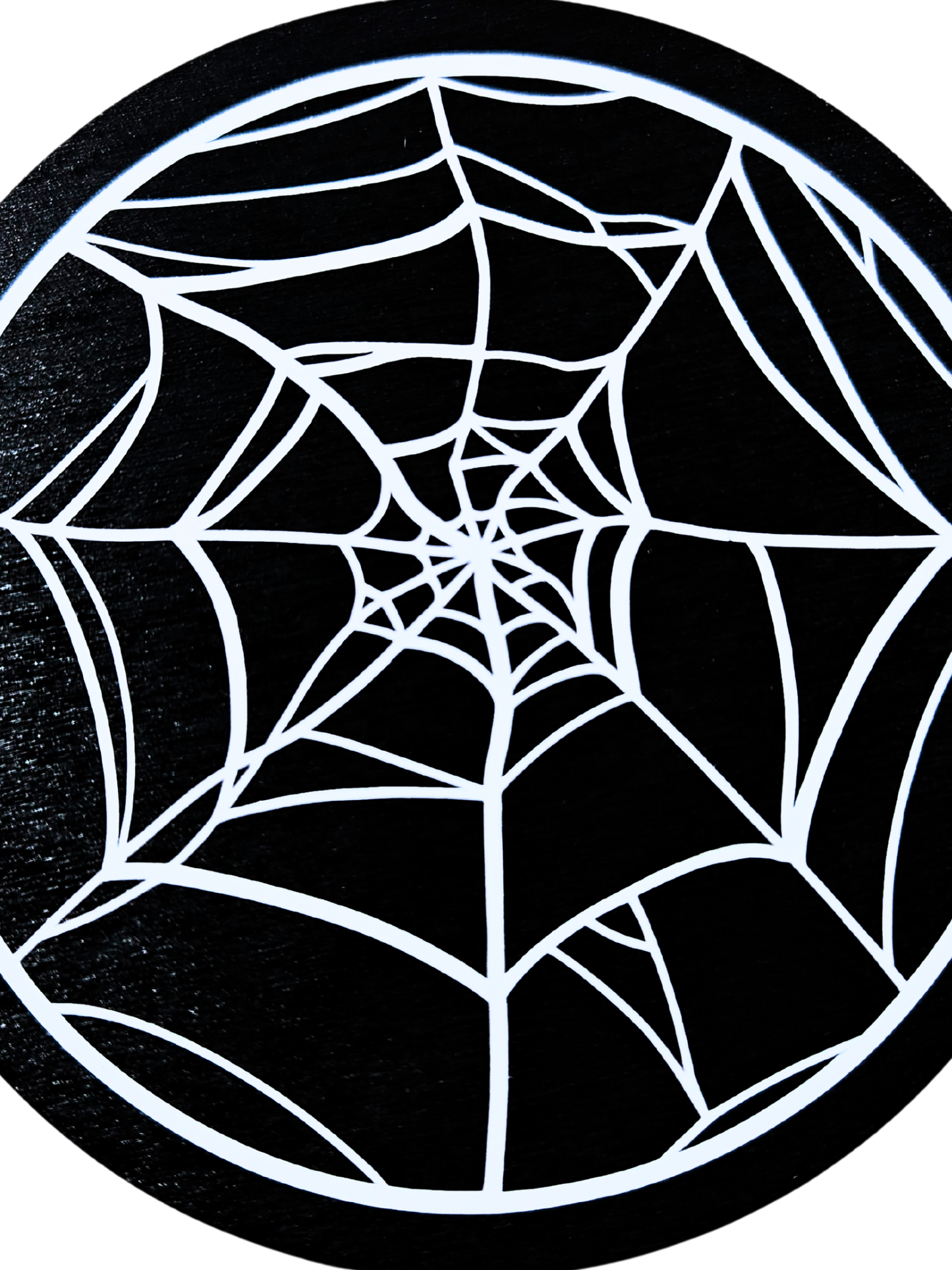 Spider Web Coaster