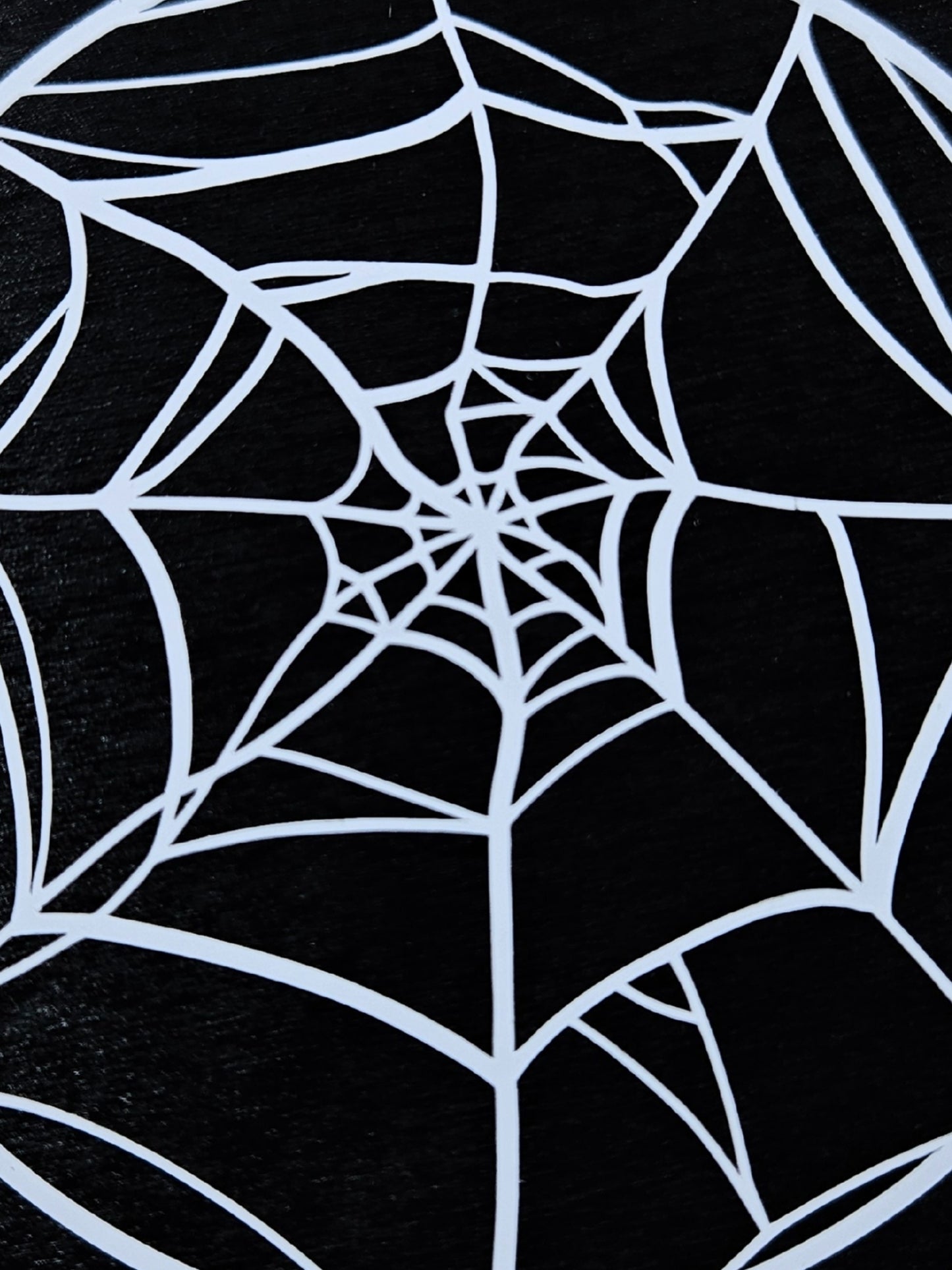 Spider Web Coaster