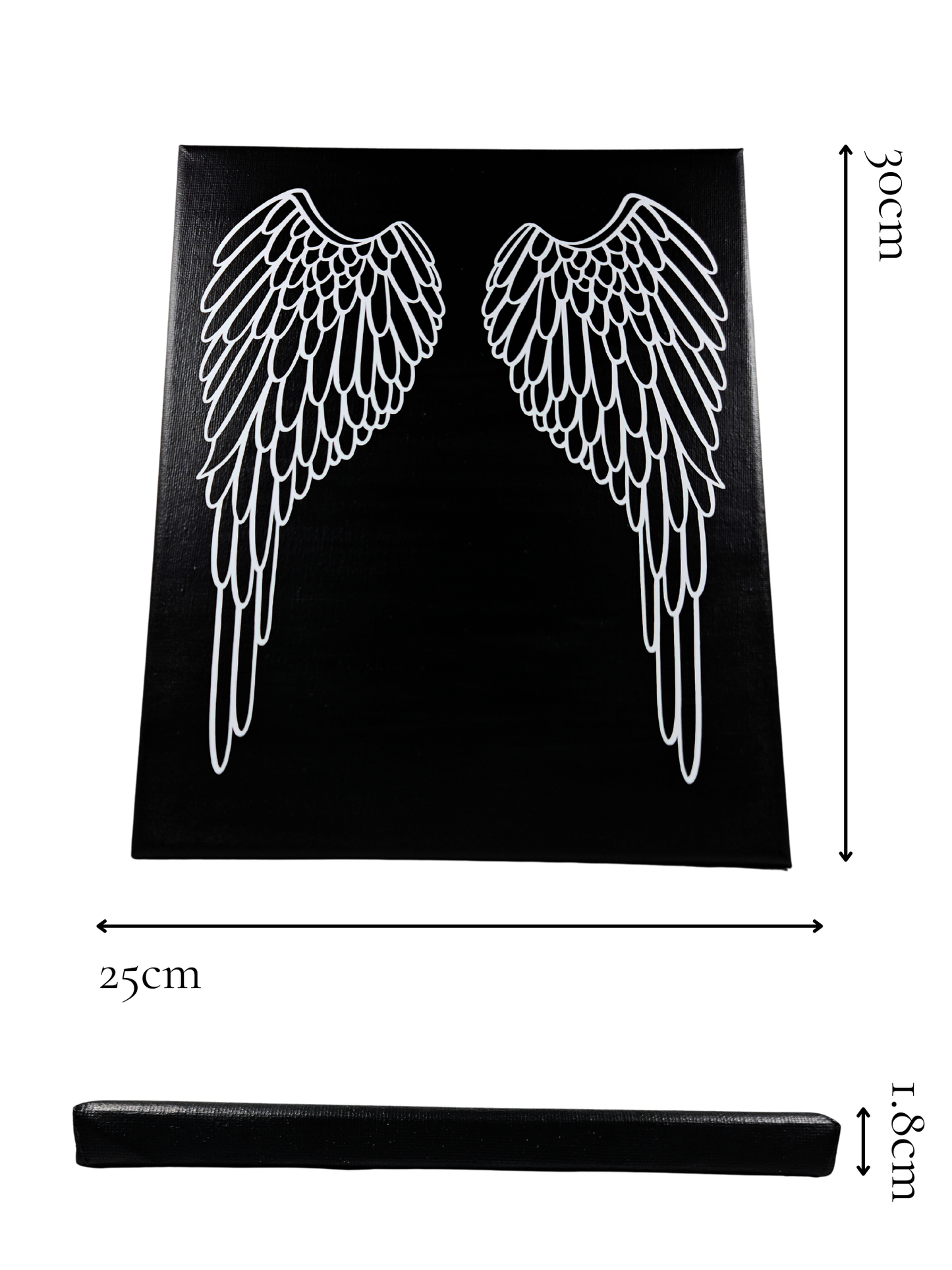 Angel Wings Canvas