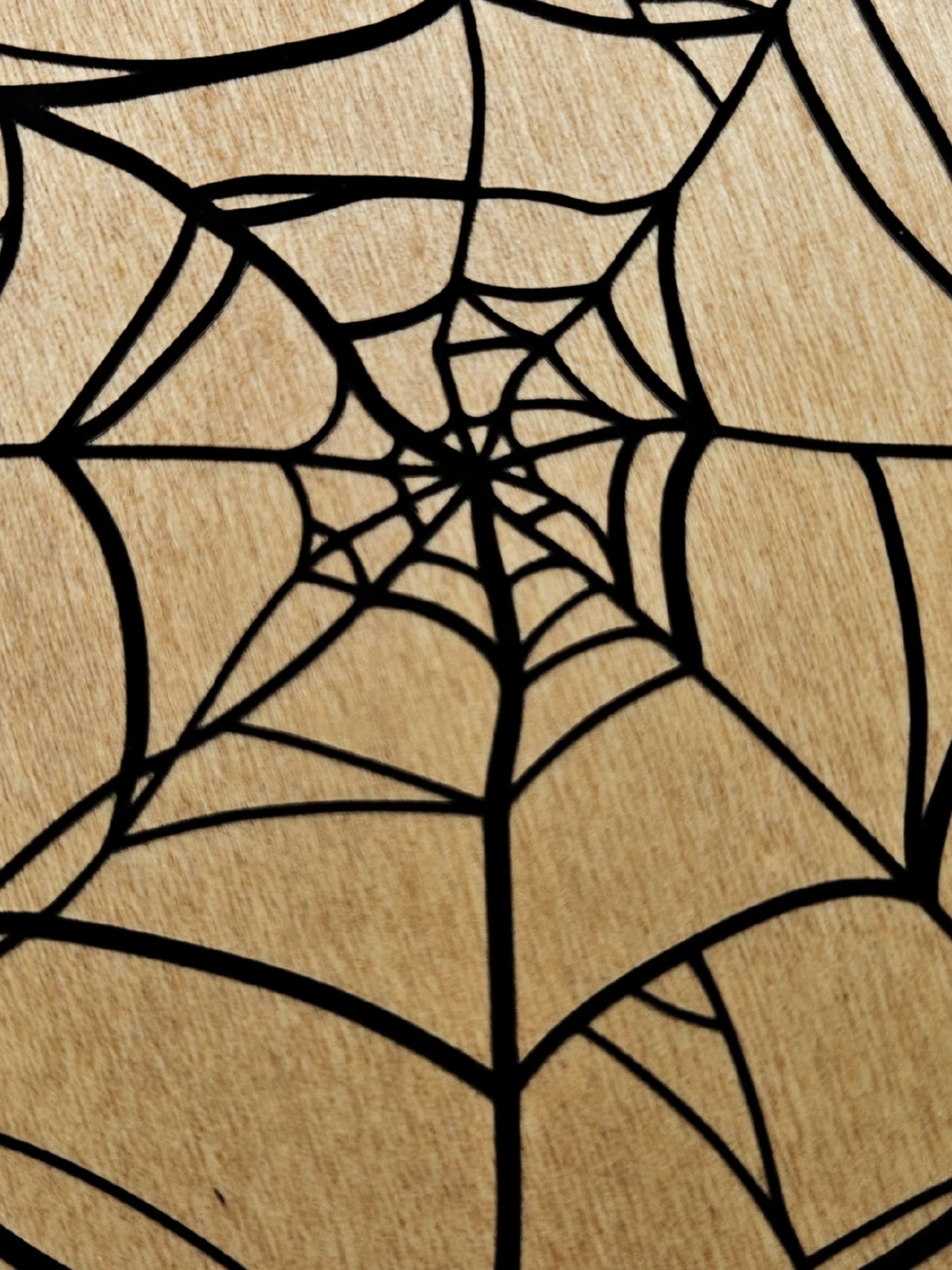 Spider Web Coaster