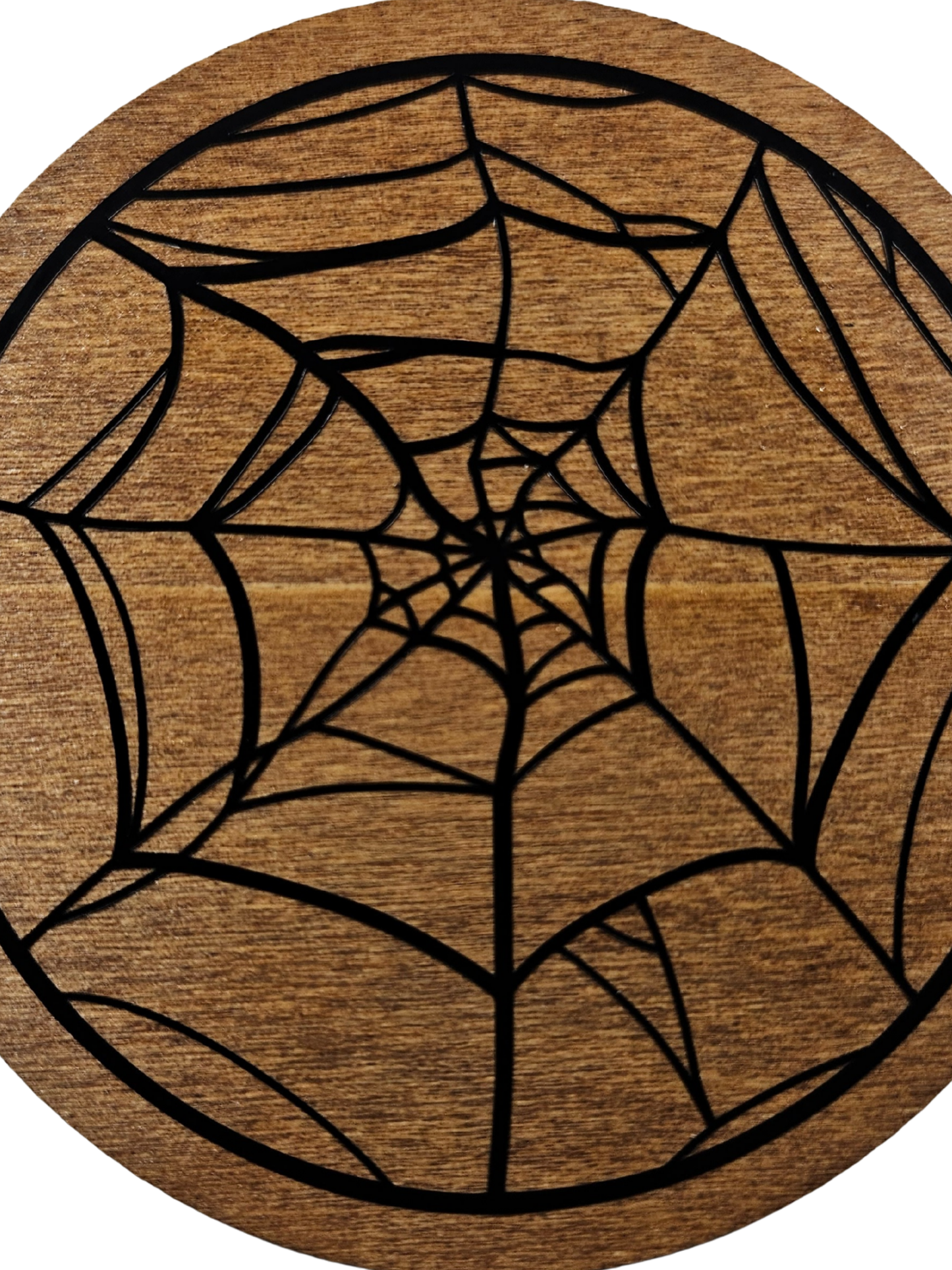 Spider Web Coaster