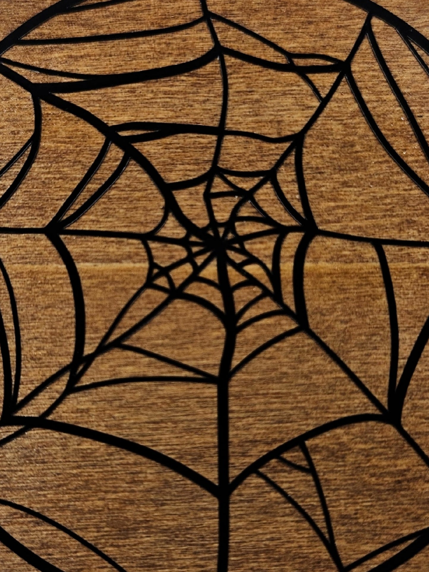 Spider Web Coaster