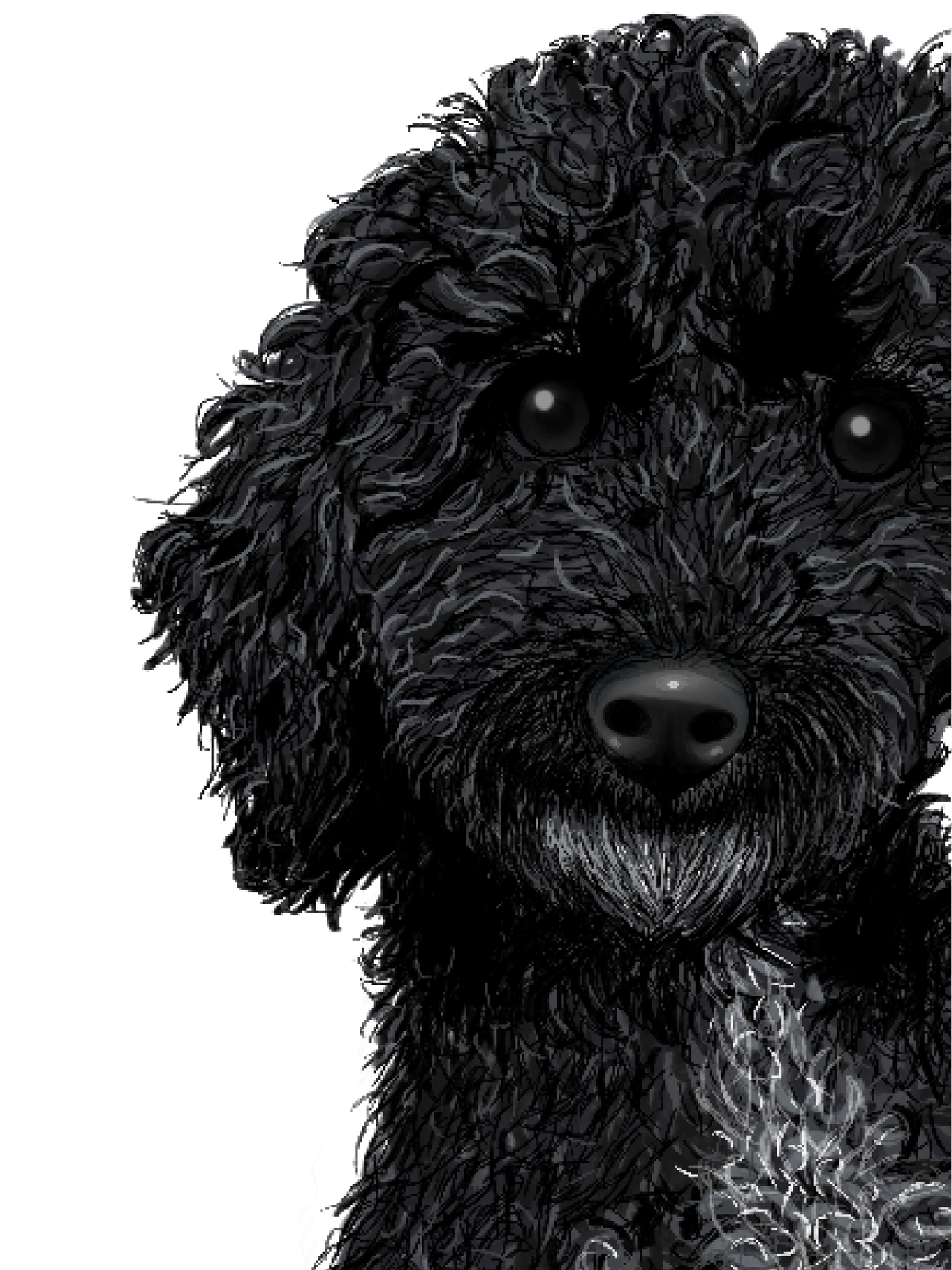 Pet Portrait