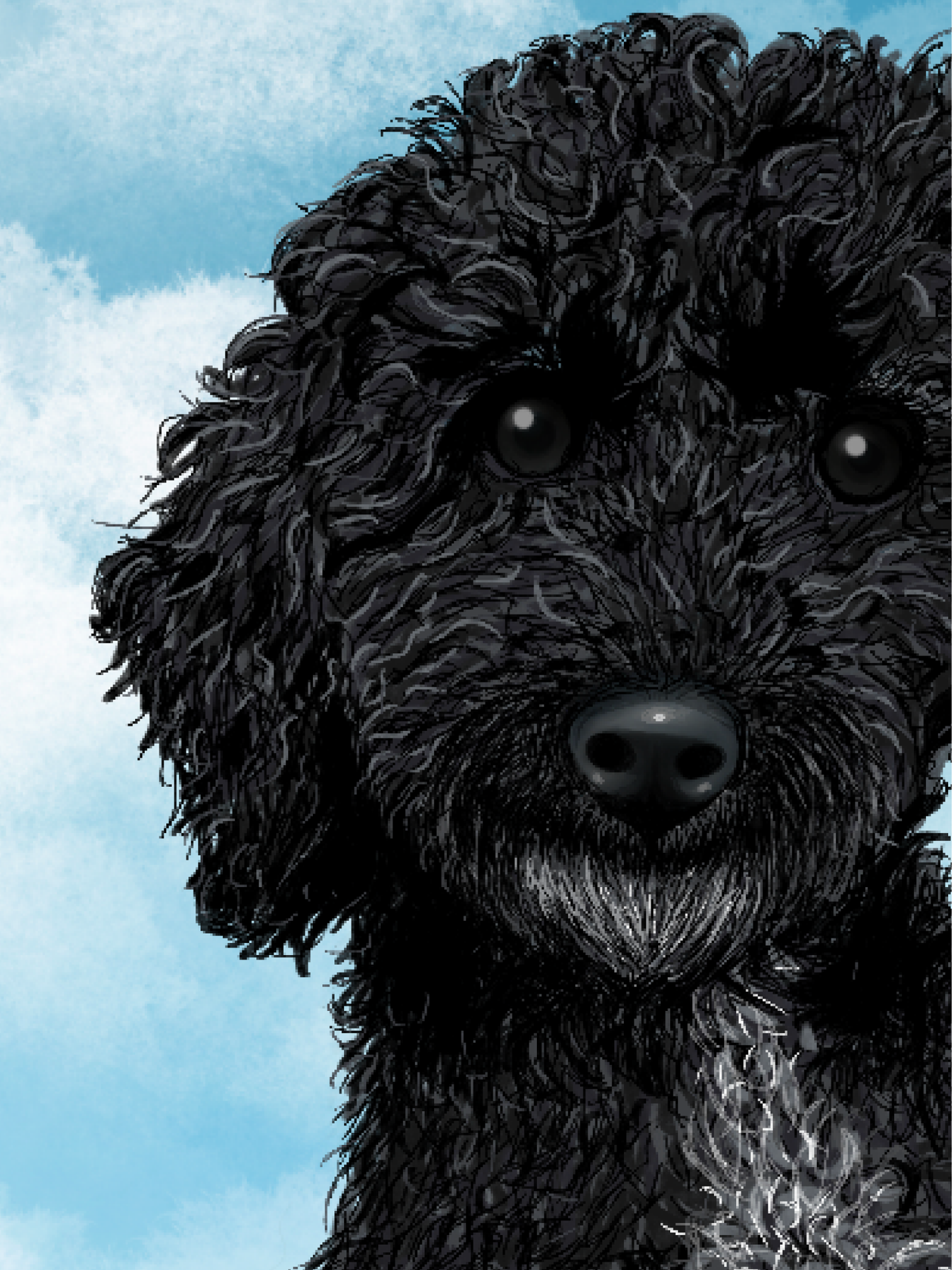 Pet Portrait